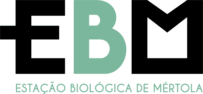 CIBIO_InBIO's tweet image. OPEN CALLS
PhD Studentships | Biological Sciences, Veterinary Sciences, Forest Engineering and Agronomy or related areas 
🗓️Deadline: July 01  
More info: cibio.up.pt/en/jobs/phd-st…
#CIBIO_InBIO #OpenPosition