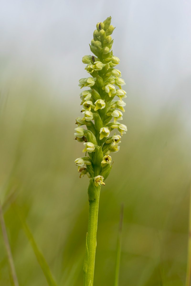 David Dillon tweet media