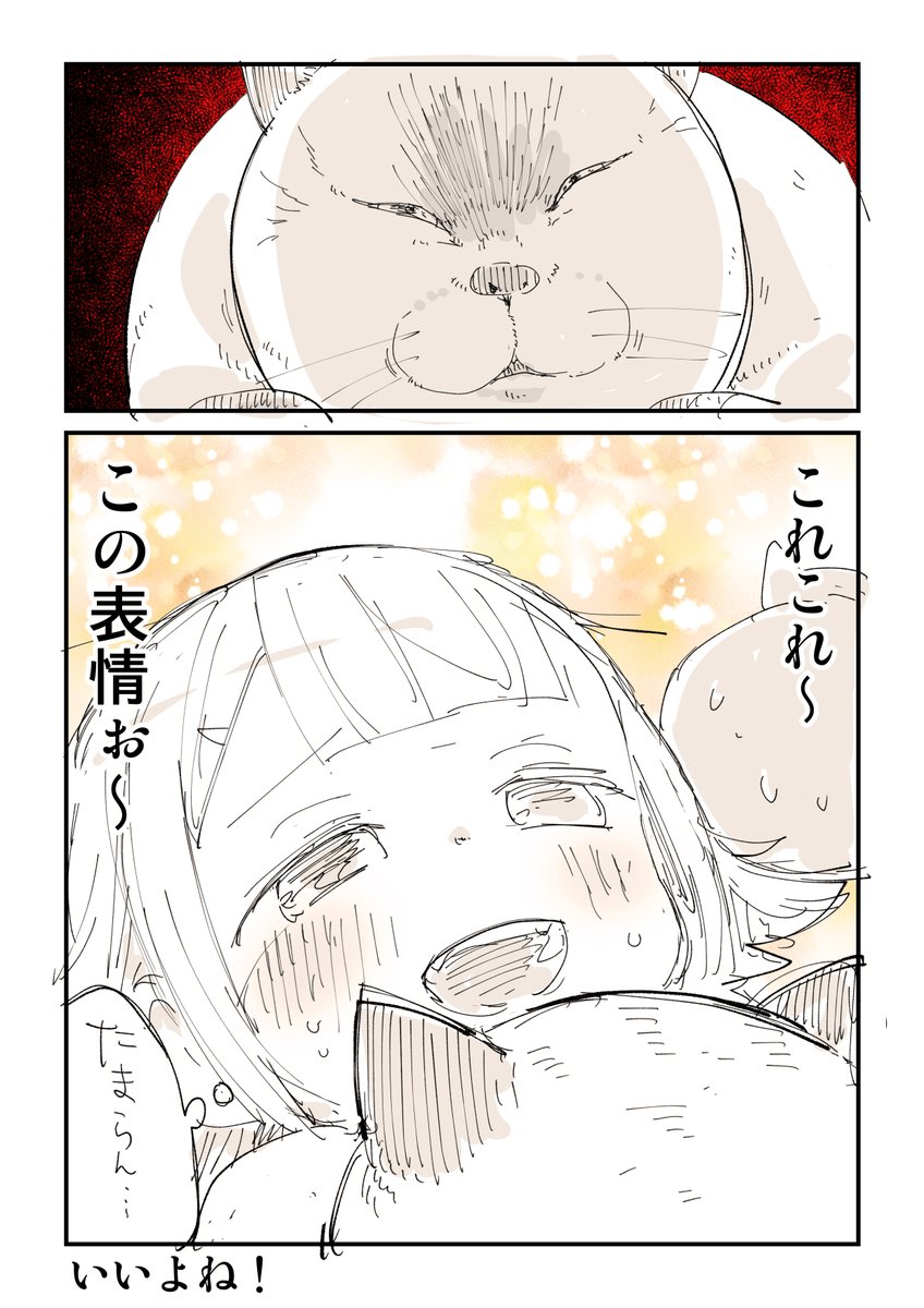 猫に翻弄される日記 5/6 