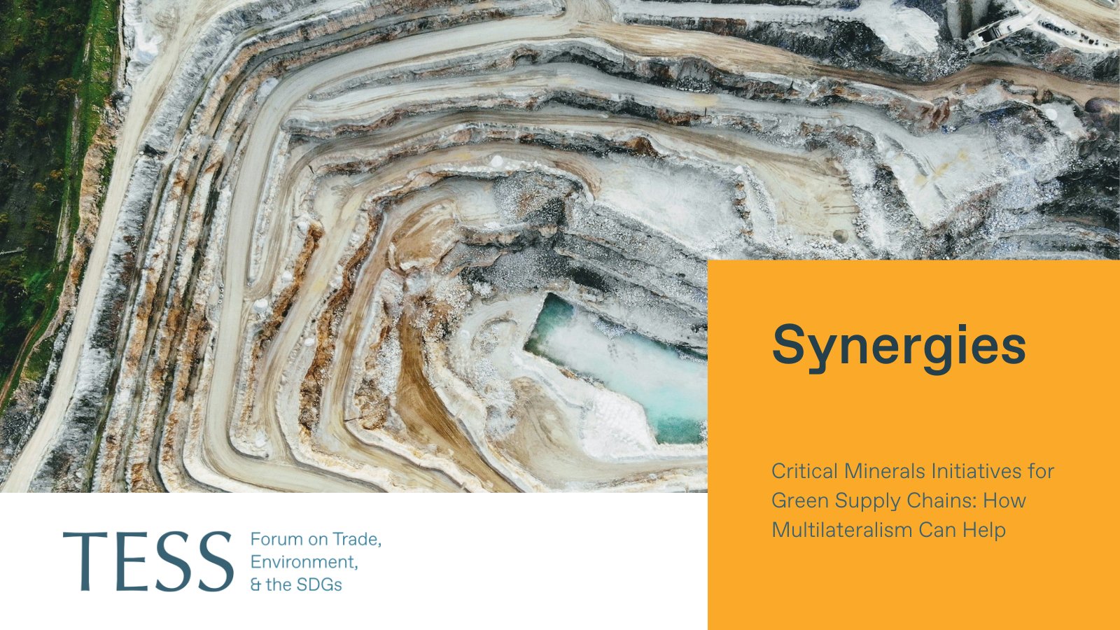 Forum on Trade, Environment &amp; the SDGs on X: &ldquo;ICYMI @TESSForum is 