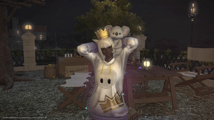 FF14のメンテに入りました!次にここにログインしたら見た目の違う自分と生えている草が全て変化するというので楽しみです!メンテ前が夜だったので暗かった! 