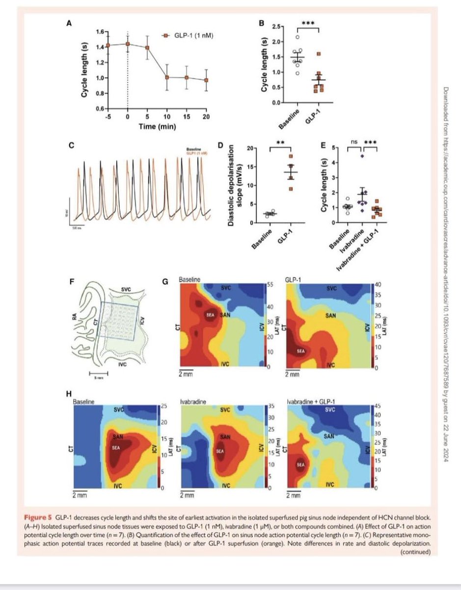 Well done, Luca. So proud of you. Looking forward to seeing more mapping data❤️.