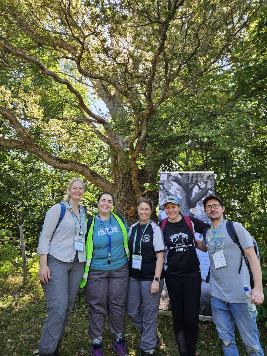 Can confirm that Excursion 3 at #IUFRO2024 is the best excursion! 🌲🍄 

A beautiful (very hot) day out in the forests of Sweden 🇸🇪