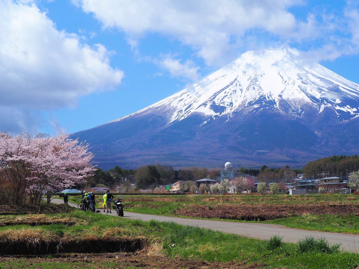 #風景の片隅に愛車が佇んでいる写真

バイクの隣にいる外国人観光客、メチャクチャ良い人達だったな〜☺️

写真撮る時は前通るの待ってくれたし、去り際に👍してくれたんですよね😆

だから愛車からこれだけ離れていても信用できる😊