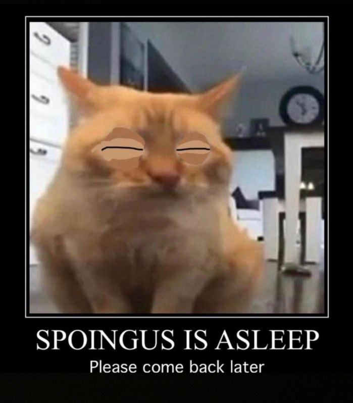spoingus tweet media