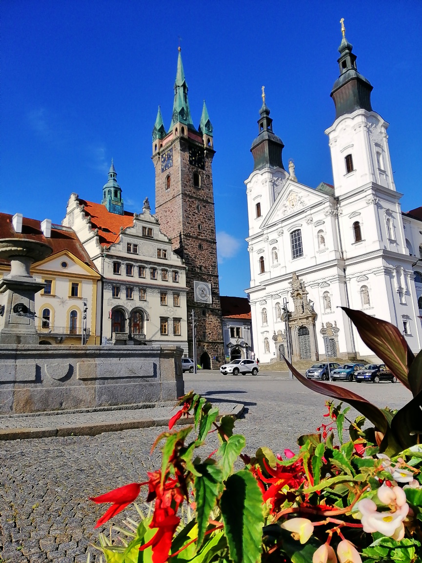S59Marta's tweet photo. Klatovské náměstí.
#klatovy #cernavez #leto https://t.co/H76C1de4Md