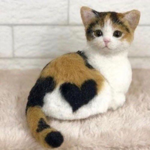 Posts Of Cats tweet media