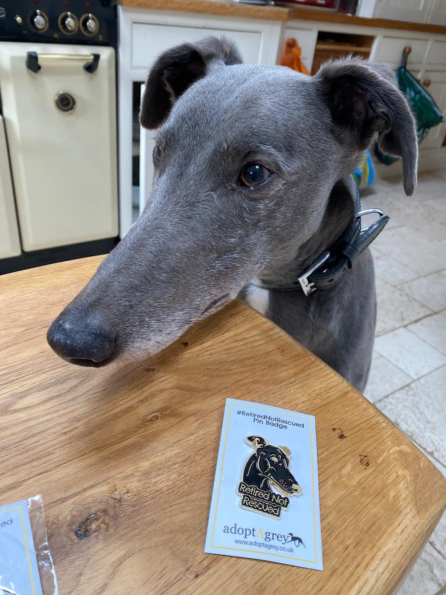 Fergal O'Brien Racing tweet media