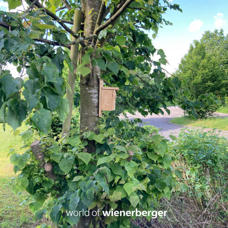 wienerberger's tweet photo. Production sites surrounded by apple & cherry trees, cranberry bushes & bee hotels. π³ππππ¦
In 2021 we started our #BiodiversityProgram at our more than 200 production sites. As part of #wienerberger, @Pipelife has fully embraced the program. #worldofwienerberger #biodiversity