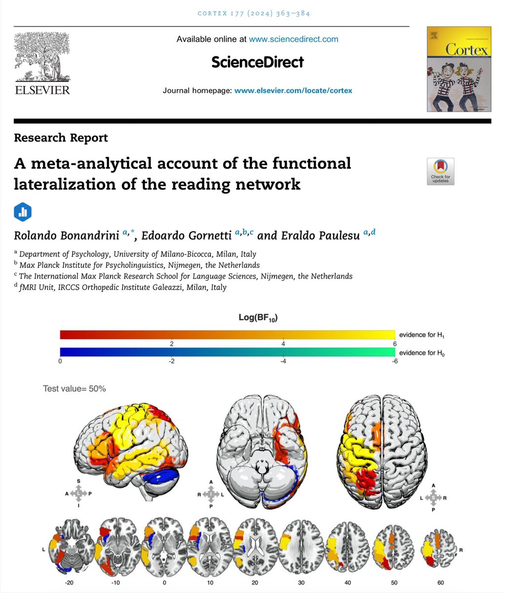 New paper out! How lateralized is the reading network? doi.org/10.1016/j.cort…