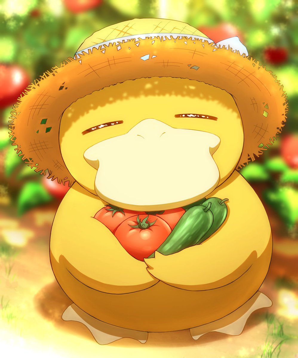 これでフォロワーさん増えました コダック