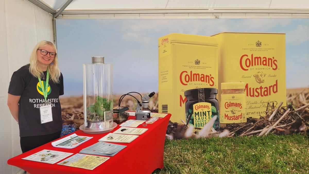 Happy to be here at #Groundswell24 with <a href="/Rothamsted/">Rothamsted Research</a> stand F39 &amp; <a href="/ColmansUK/">Colman's</a> E39 Demo field Presenting our work on regen approaches to pest management in #mustard &amp; #OSR
