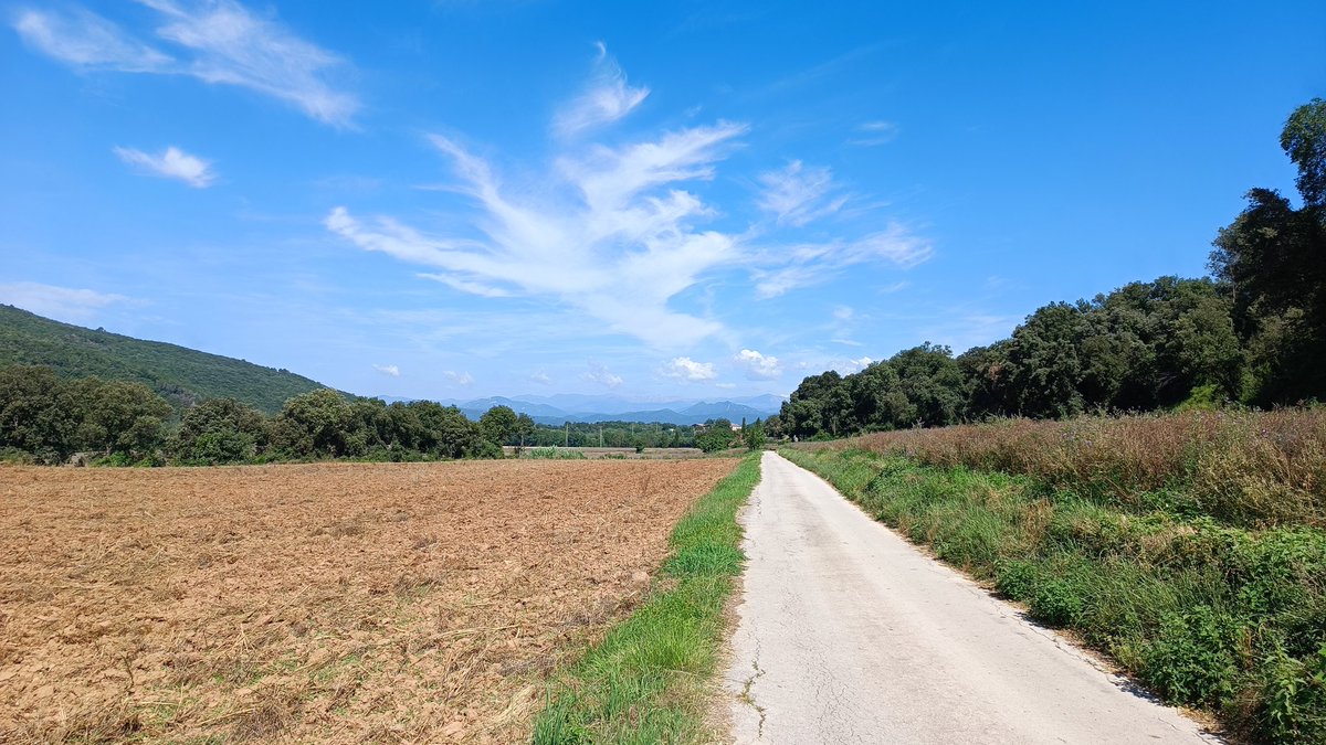 totipm's tweet photo. #ElTemps3Cat #eltempsTV3 Bon dia des de Salve Regina #besalu #LaGarrotxa #beuda @eltempsTV3 #meteo @eloicordomi @MeteoMauri @TomasMolinaB @enricagud @gemmapuigf @P4Estacions
https://t.co/UKrkahJWWt🙂 https://t.co/Rbl5sl5aJE