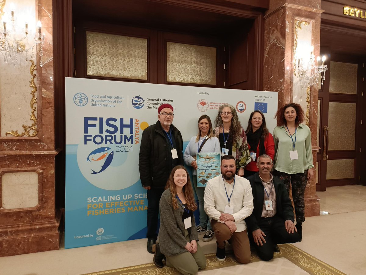 SharkTrustUK's tweet photo. We aim to make sure that national legislation for angel sharks is established, implemented &amp; enforced. In February we attended Fish Forum in Türkiye, engaging with GFCM officials and showcasing the breadth of flat shark conservation work across the Mediterranean. #AngelSharkDay🦈 https://t.co/UHgoTkBr9f