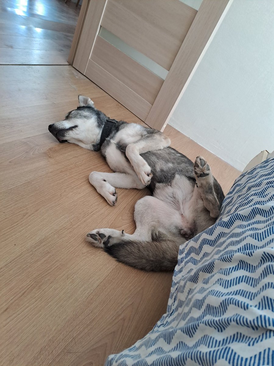 Pie astes man tā jūsu globālā sasilšana. Sunene neies ārā un viss.