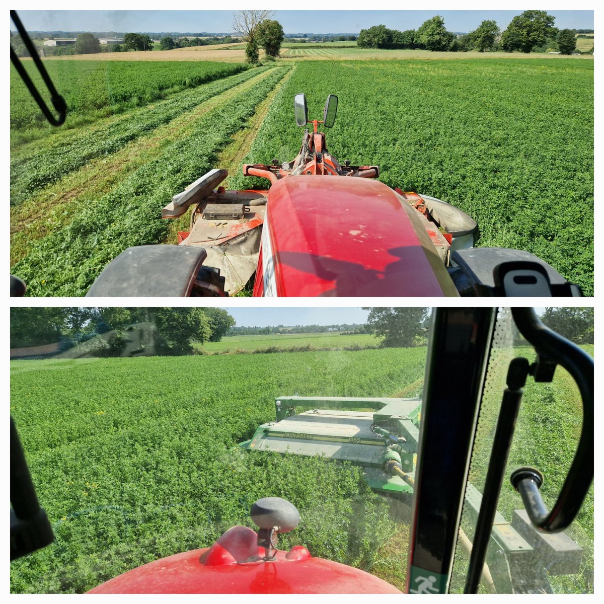 Fauche de la 2ème coupe de luzerne pour enrubanner vendredi avant les orages prévus 🤷‍♂️. Qualité et quantité au top 👌. Les mémères vont se régaler. #ceuxquifontlaviande #charolaise