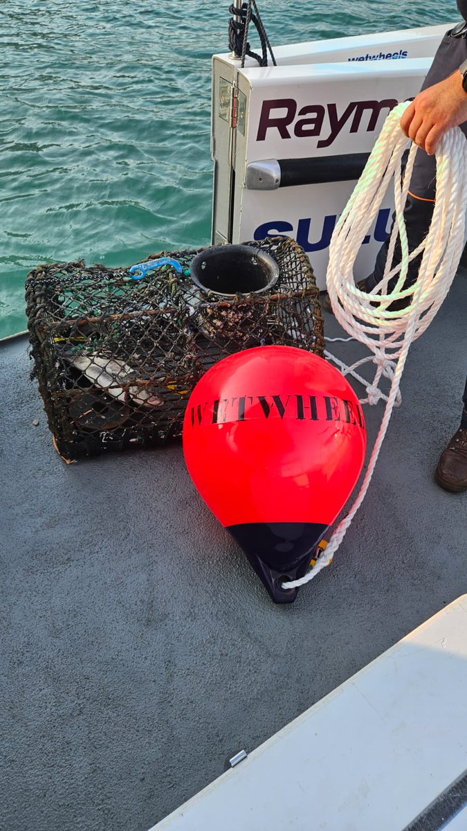 Wetwheels South East (@wetwheels_se) on Twitter photo Following the amazing idea of <a href="/WetwheelsSW/">Wetwheels South West</a>, last night we deployed our very own lobster pot! 🦞
We are excited to see what amazing marine wildlife we will catch, join us to get up close and personal with these fascinating creatures before releasing them.
#lobster #wwse Following the amazing idea of <a href="/WetwheelsSW/">Wetwheels South West</a>, last night we deployed our very own lobster pot! 🦞
We are excited to see what amazing marine wildlife we will catch, join us to get up close and personal with these fascinating creatures before releasing them.
#lobster #wwse