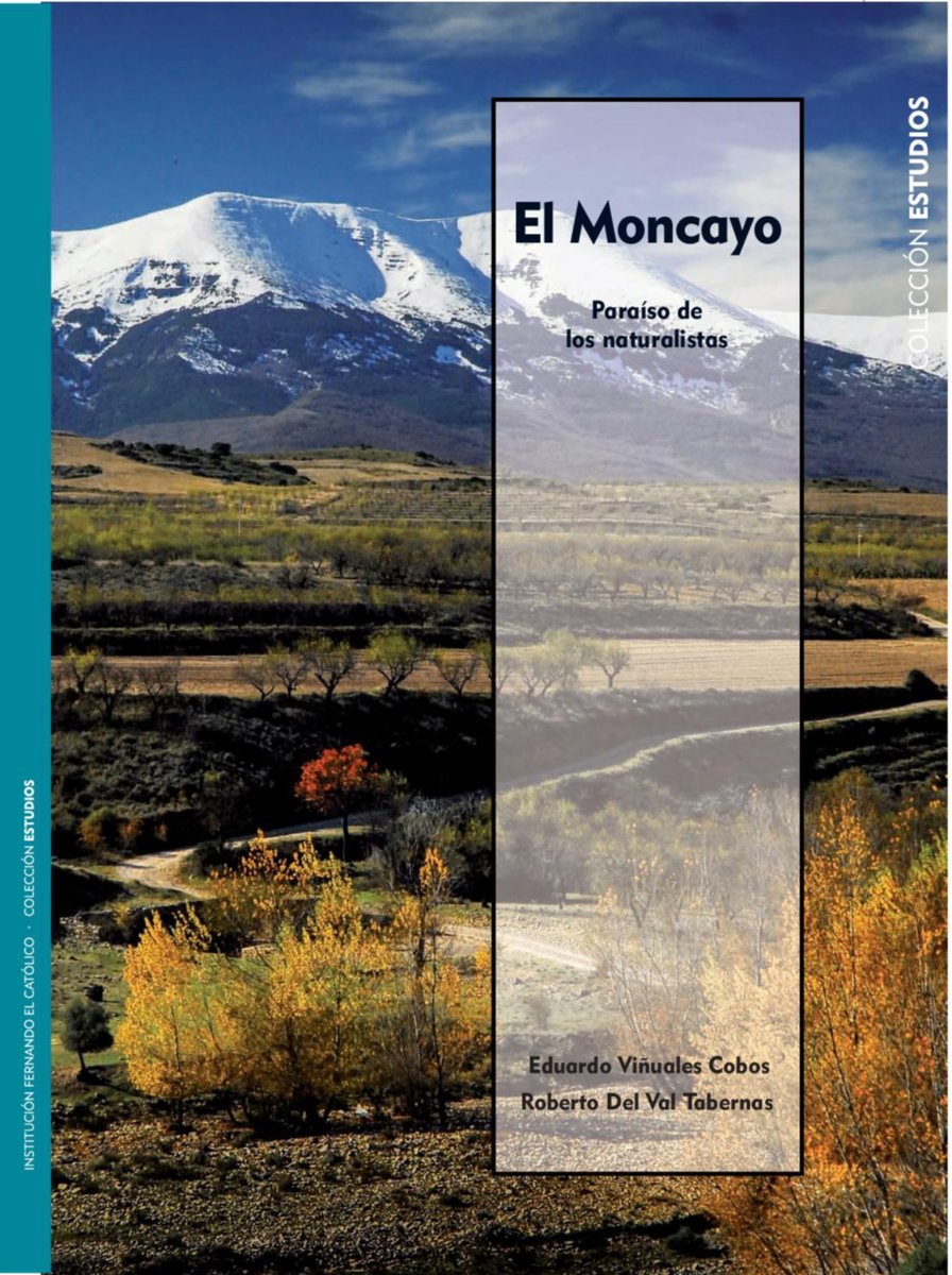 Agotada ya su 2ª edición, la Institución Fernando el Católico os regala la versión PDF de este libro lleno de amor, conocimiento y amigos del patrimonio natural del Moncayo.
El Moncayo. Paraíso de los naturalistas,
de Eduardo Viñuales y Roberto Del Val.
👉ifc.dpz.es/publicaciones/…