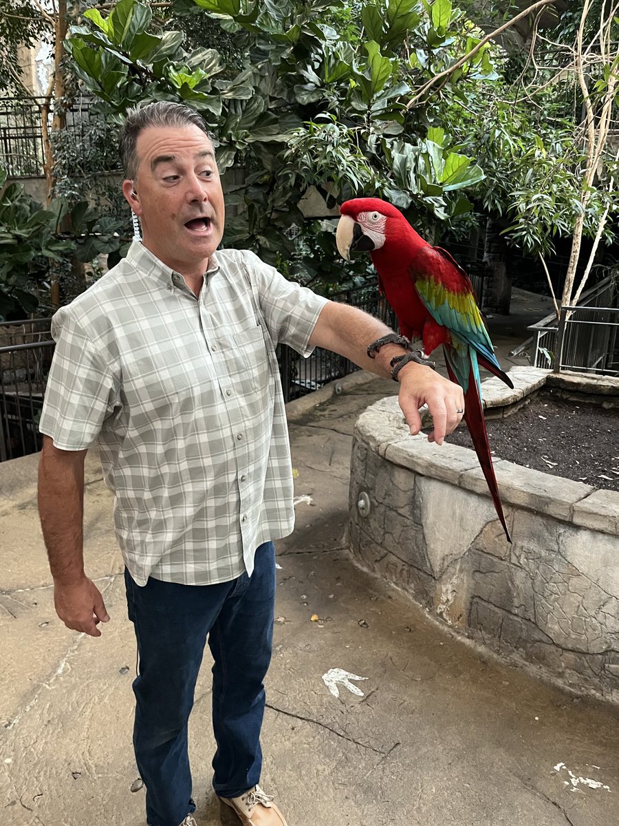 I’m live from the world’s largest indoor free-flying aviary. <a href="/birdkingdom/">Bird Kingdom</a> ⁦<a href="/WGRZ/">WGRZ</a>⁩. And more at 4pm