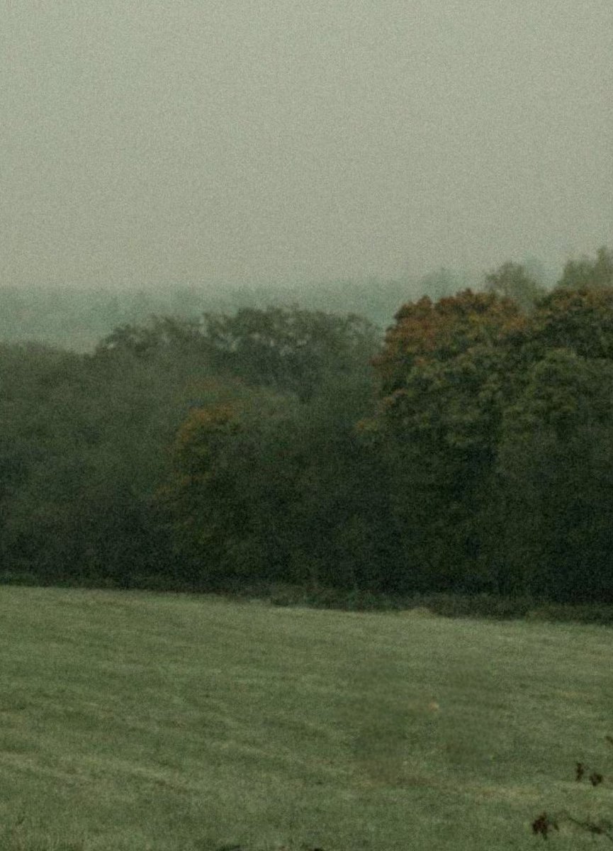 Şu an beni dinlediğini biliyorum
Seni görür gibi oluyorum
Analiz ediyor yazıyorum
Açımı bulup çiziyorum
Gözümü siliyor yanıyorum
Düşünü biliyor üşüyorum
Ama bir çözüme varıyorum, dinle!