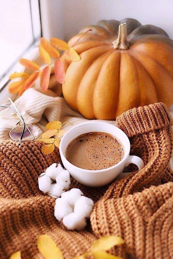 Susannah J. Bell 🌺 tweet media