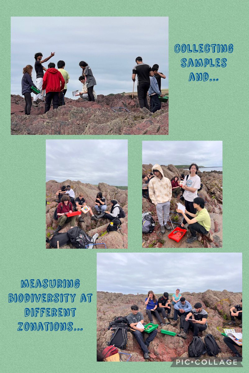 SJC_SixthForm's tweet photo. Day two in Dale with @dalefortcentre taking samples, classifying species and vegetation, looking at biodiversity in different zonations at different shore heights. #learningallthetime https://t.co/UNHcUKcorY