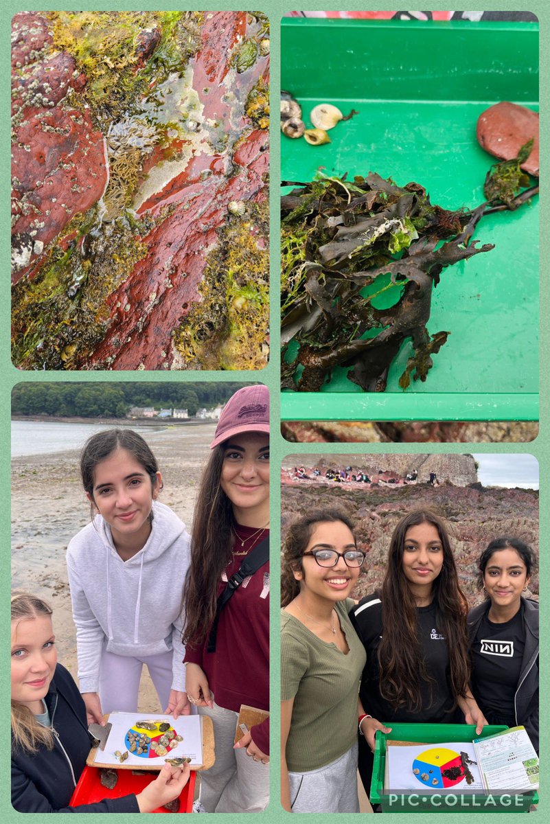 SJC_SixthForm's tweet photo. Day two in Dale with @dalefortcentre taking samples, classifying species and vegetation, looking at biodiversity in different zonations at different shore heights. #learningallthetime https://t.co/UNHcUKcorY