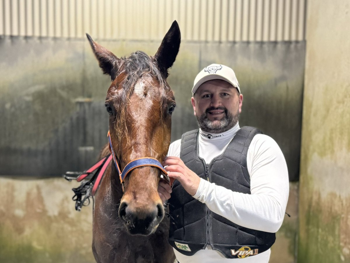 Bathurst Harness Racing Club tweet media