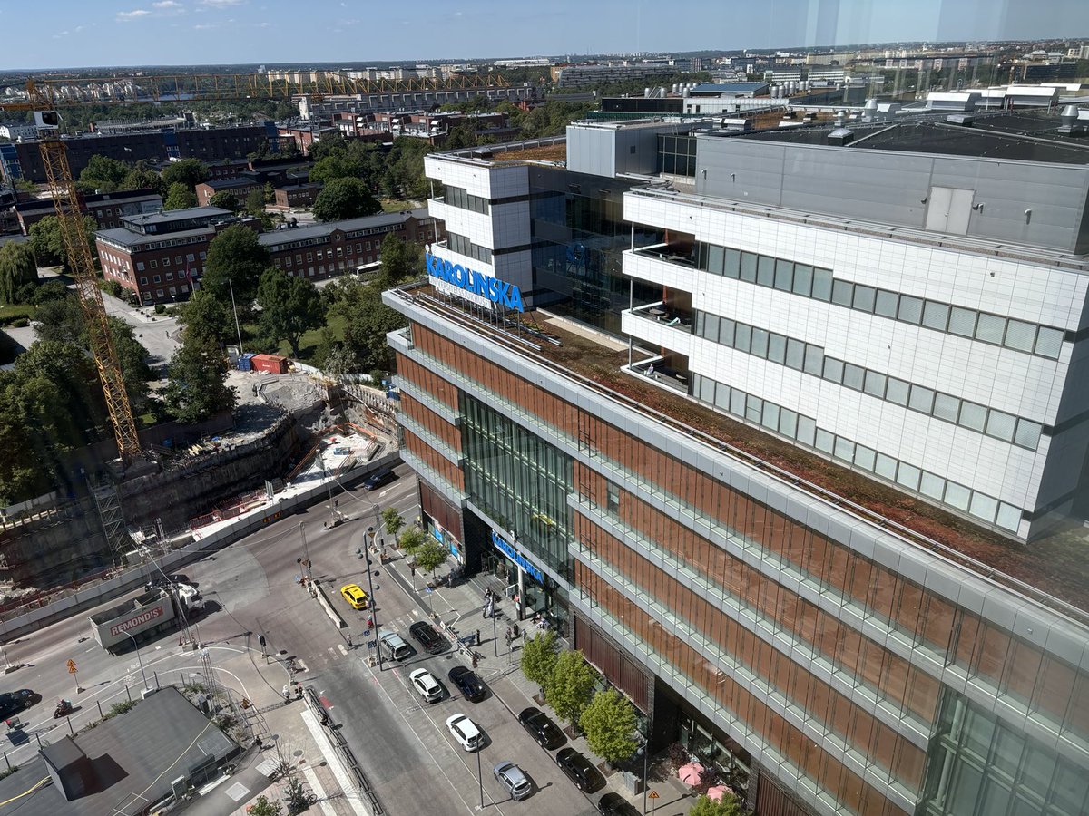 Nils Krone tweet media