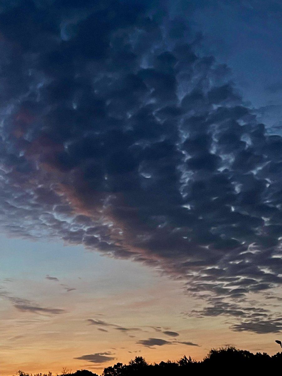 mpicsb's tweet image. GM!!