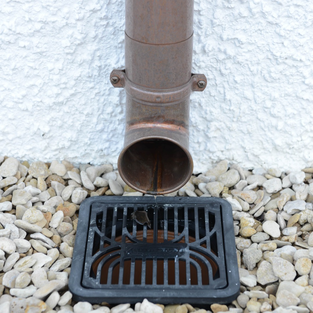 MetalGutta's tweet photo. We often get asked what our Shoes are for? So we thought we would show you one in action!
https://t.co/Vp9lxfEYdN
#welding #copper #bespoke #guttering #metalguttering #UKproduction #UKmanufacturing #copperguttering #rainwaterharvesting #shoes #downpipe #roofing #homeimprovement https://t.co/kbxcHnxGoG