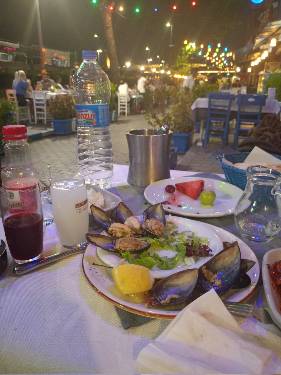 İstanbul yada İzmir'e kafa dinlemek için tatile gidesim var müsait olan eğlenmesini bilecek müsait bayan varmı 3/4 günlüğüne masraflar bana ait