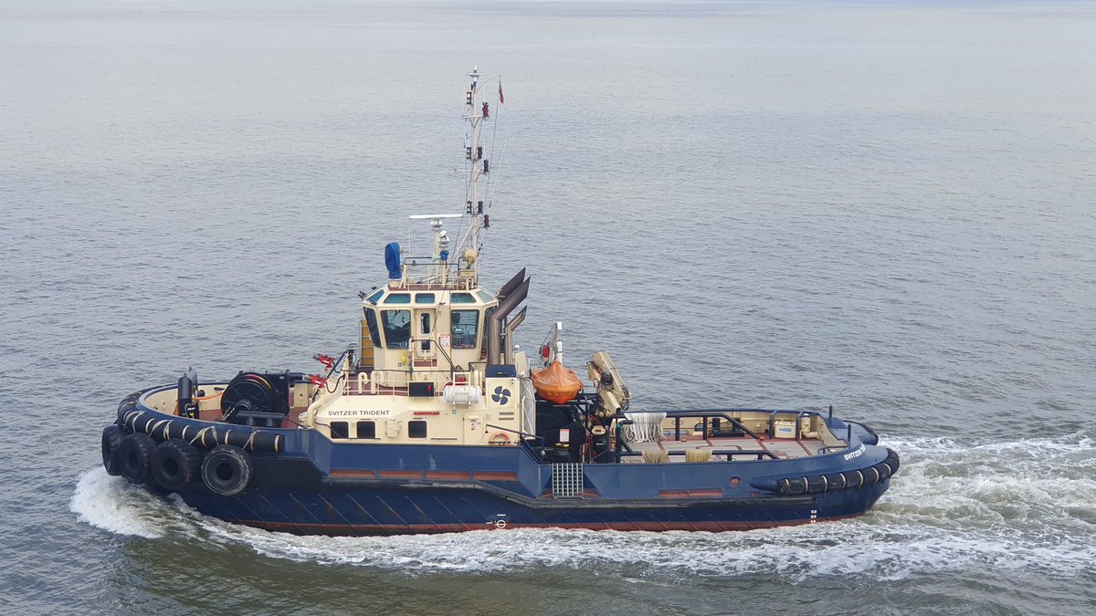 italianscouzr tweet media