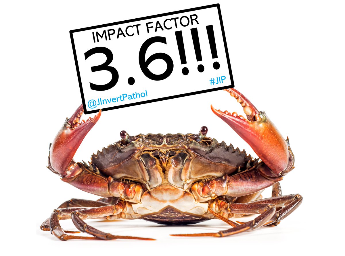 Our journal impact has continued to rise! #JIP
sciencedirect.com/journal/journa…

Huge thanks to all of our supporters and contributors, for allowing us to showcase your excellent research!

We look forward to seeing you all <a href="/SocInvPathol/">SIP</a> #SIP2024 to celebrate 🐝🕷️🐞🦀🦪