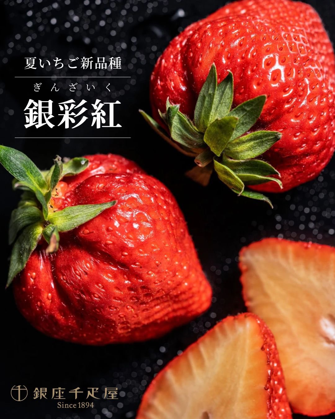 いちごグラタン様 せいこがにのグラタン （4個セット）（送料込） | グラタン