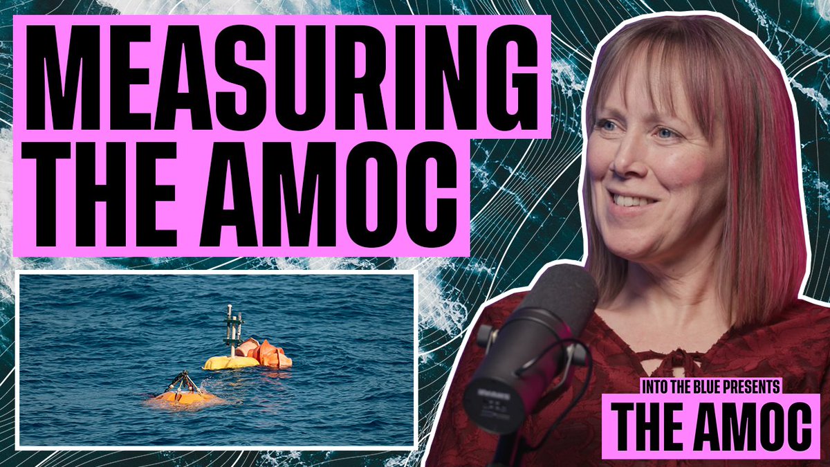 🚨 NEW PODCAST EPISODE 🚨

Listen 🎧 audioboom.com/posts/8527859-…

Watch 📺 youtu.be/JVQpKXi6oEQ

<a href="/ZoeJacobs27/">Dr Zoe Jacobs</a> and @np_holliday talk about the historic #RAPID array's long-running measurements and what it tells us about the health of the #AMOC.

#NOCIntoTheBlue