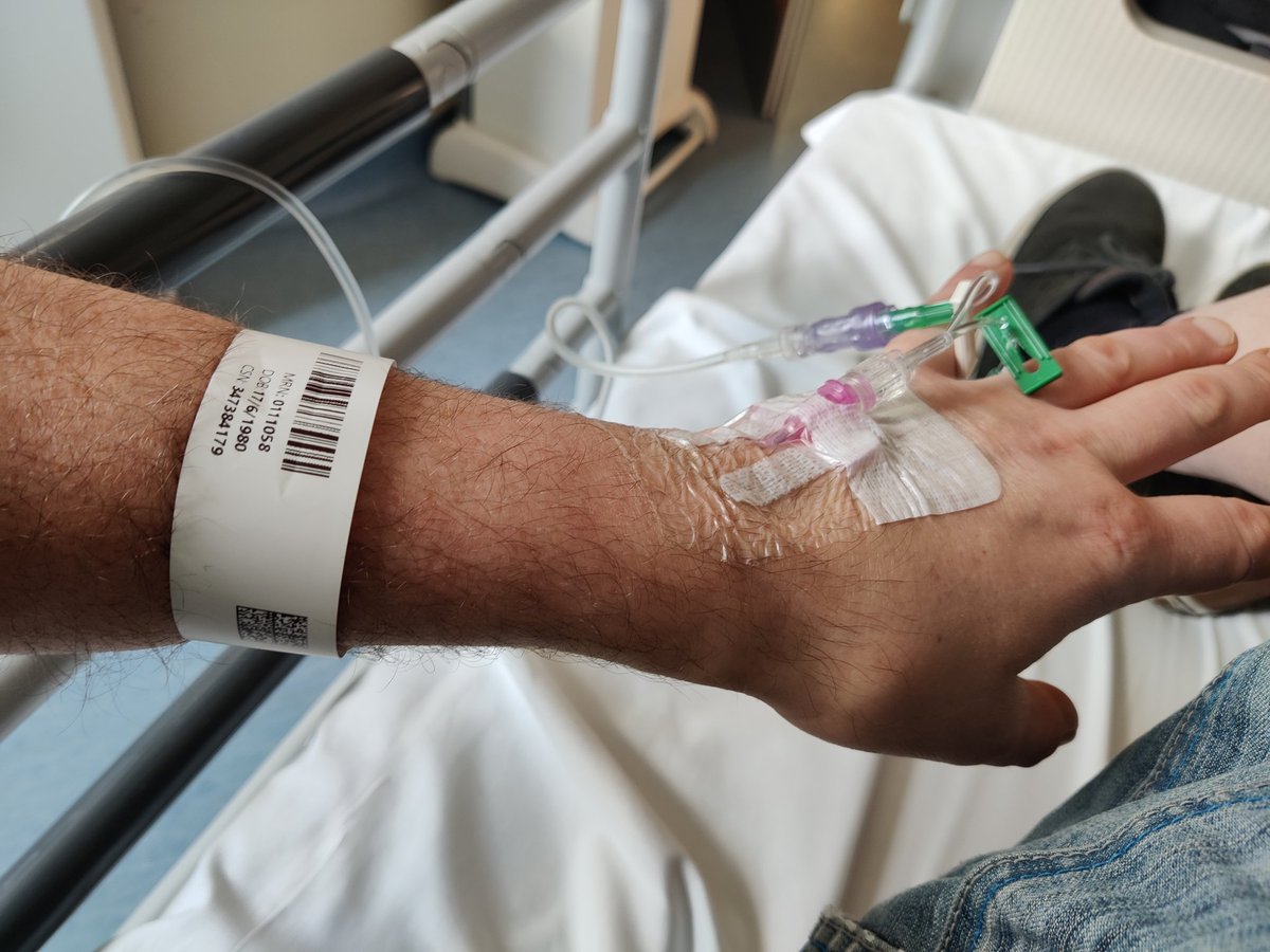 Grrrrranosaurus Dex tweet media