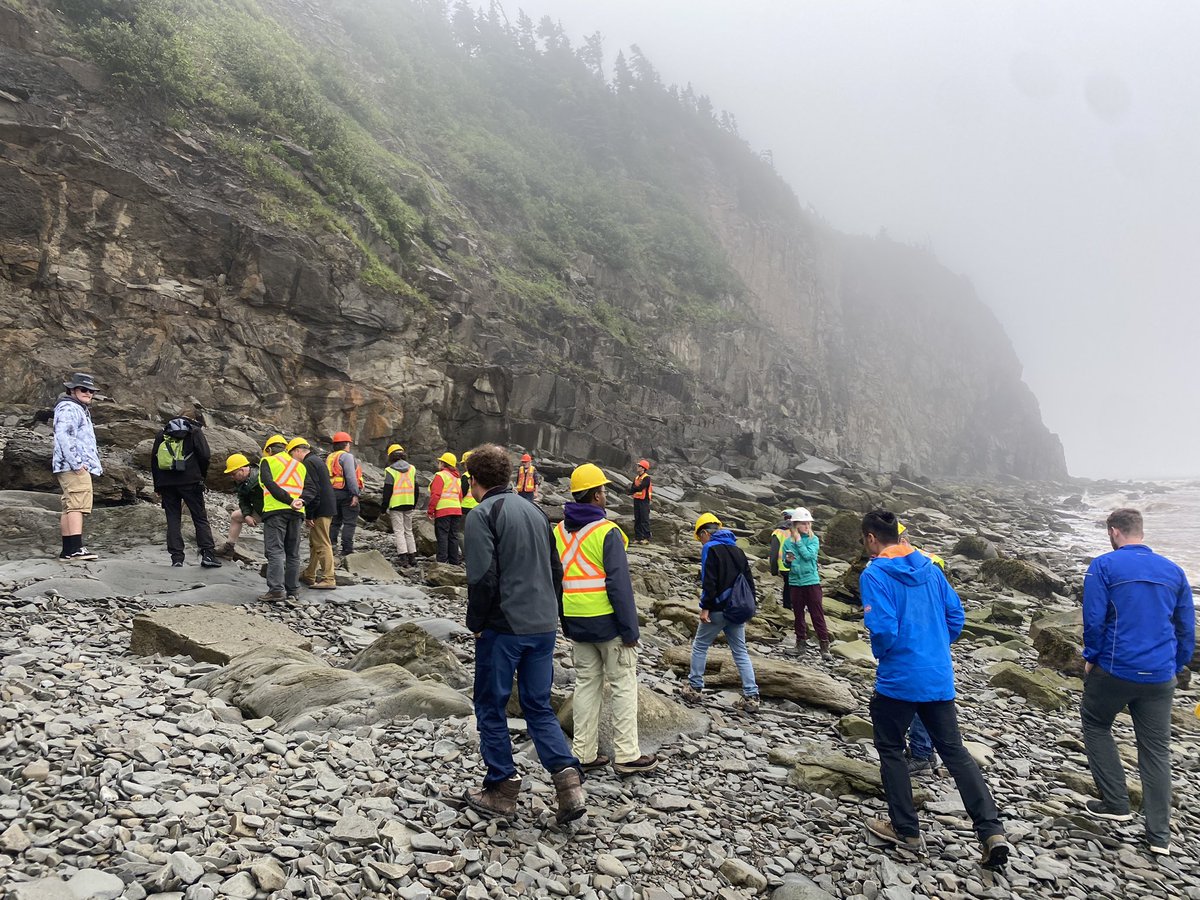 DrAliceClement's tweet photo. Cape Enrage, trackways and fossil “log-jams” from the Carboniferous forests in the Bay of Fundy, New Brunswick, Canada #Calamites #Lepidodendron #ISELV2024 @ISELV2024 https://t.co/8Rm61TSczO