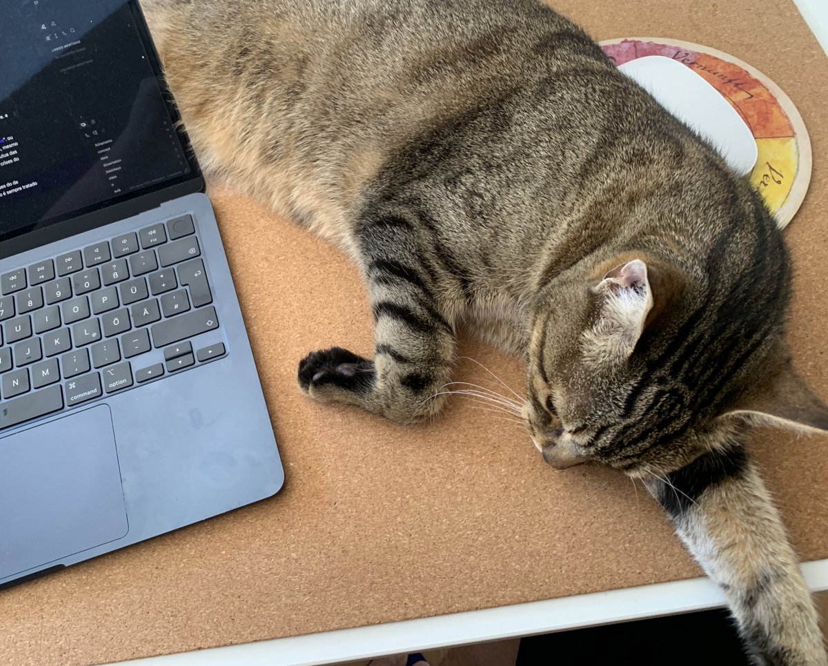 vctrfigueiroa's tweet image. Trabalhar em casa com gatos: