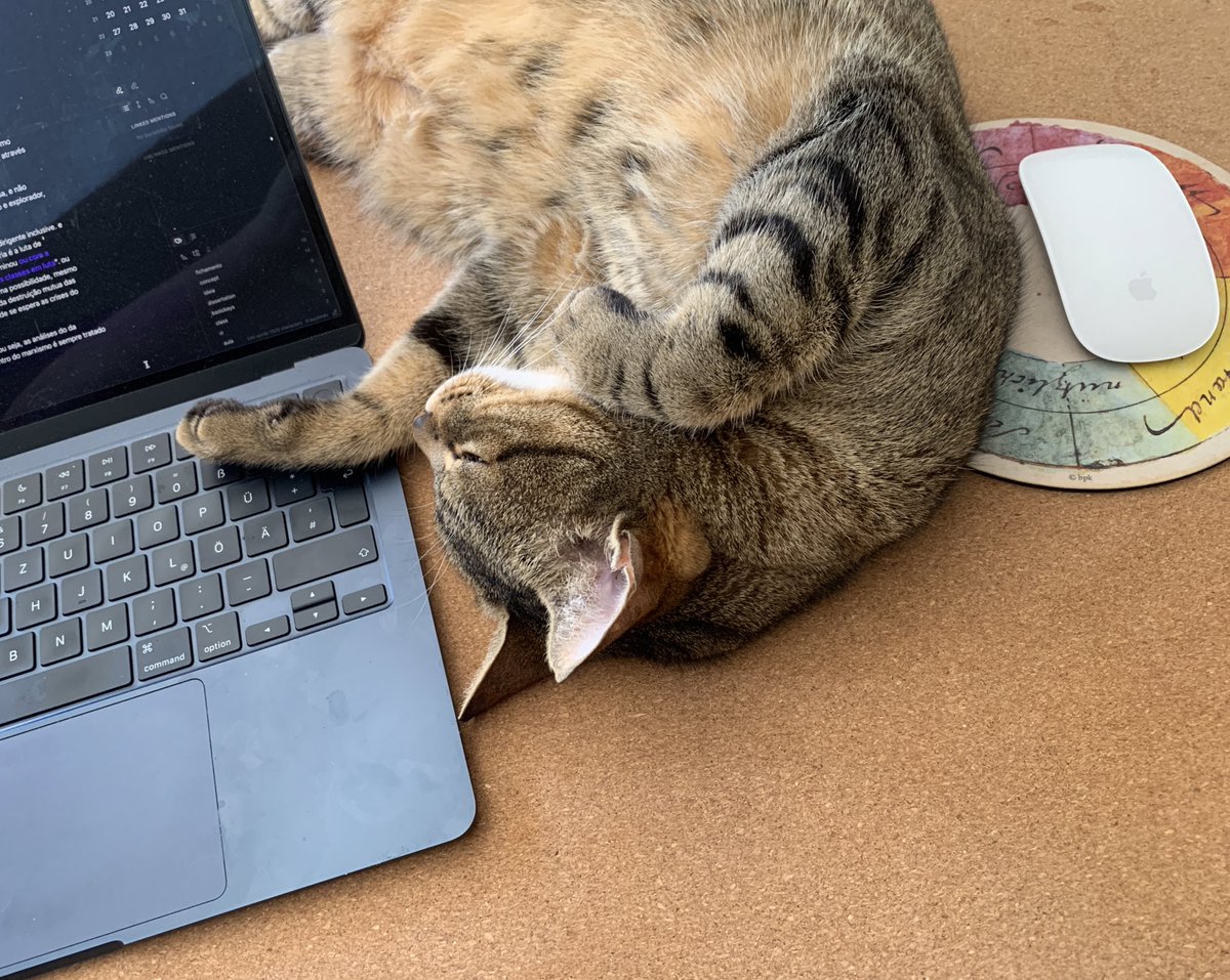 vctrfigueiroa's tweet image. Trabalhar em casa com gatos:
