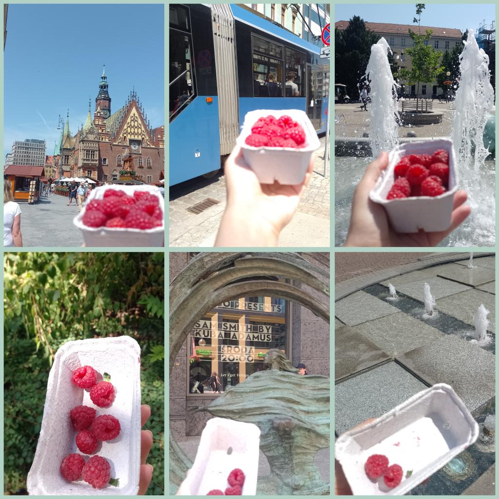 fibularyzacja's tweet photo. Krótka historia pewnego orzeźwienia.
#latouderzadogłowy ☀
#maliny https://t.co/yKQWP4Vz76
