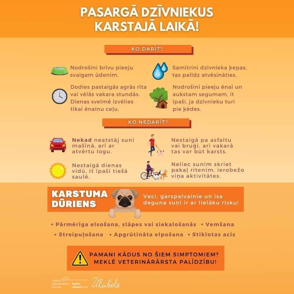 Ulubele's tweet image. ulubele.org/uzmanibu-karst…
Izlasi, ievēro pats un aizrādi vai ziņo, ja kāds pakļauj dzīvniekus mokām🙏🐾