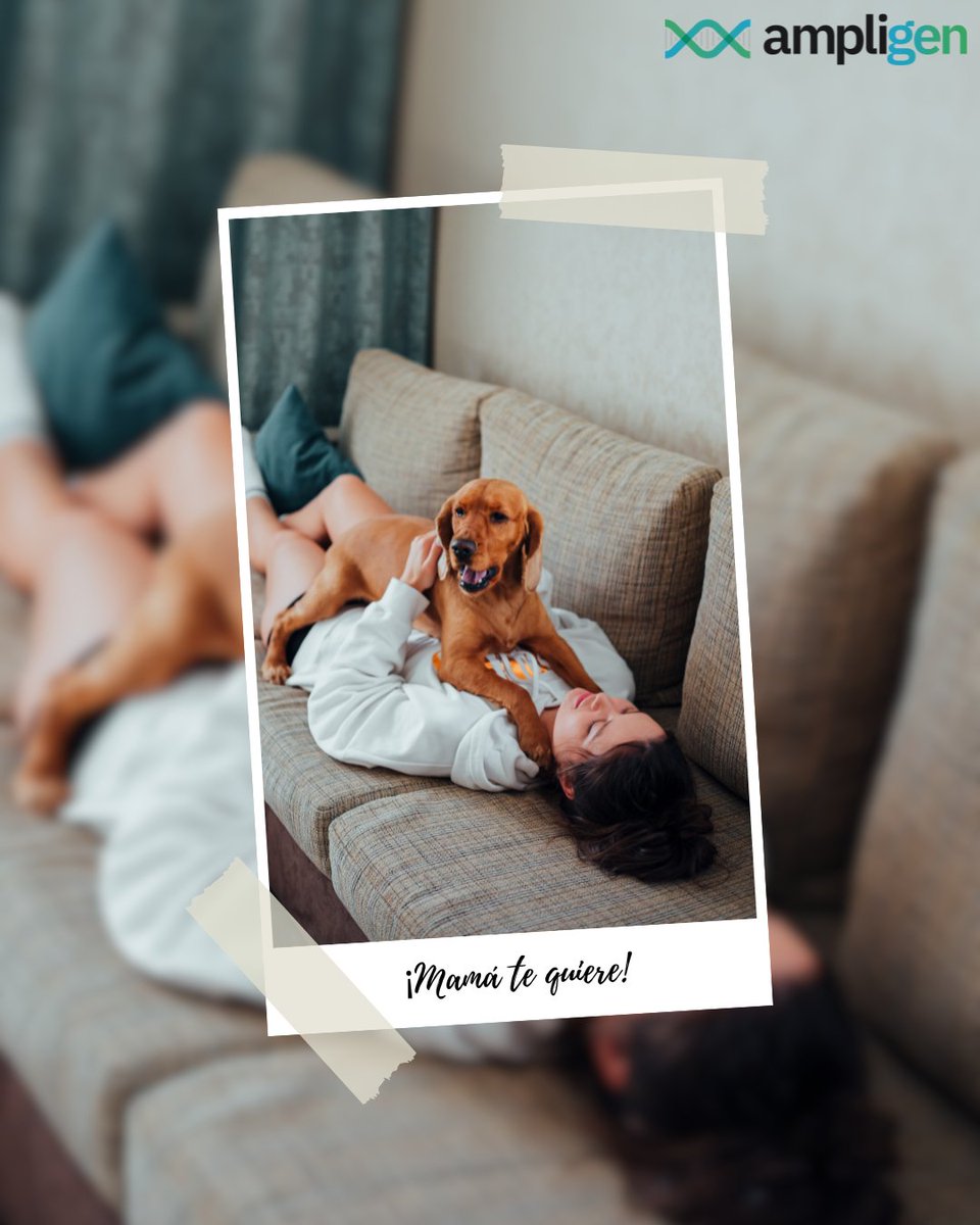AmpligenTestPat's tweet photo. Si algo no te cuadra con tu hijo, ¡haz la prueba de #ADN!
✅ Confidencial
✅ Discreta
✅ Rápida

📞688 922 126
#Paternidad #TestGenético #PaternidadResponsable #PruebaDePaternidad #PaternidadSegura #Confianza #Familia #Padre #Hijo #Maternidad #Genética #SaludFamiliar #Bienestar https://t.co/p0bcbv7UuJ