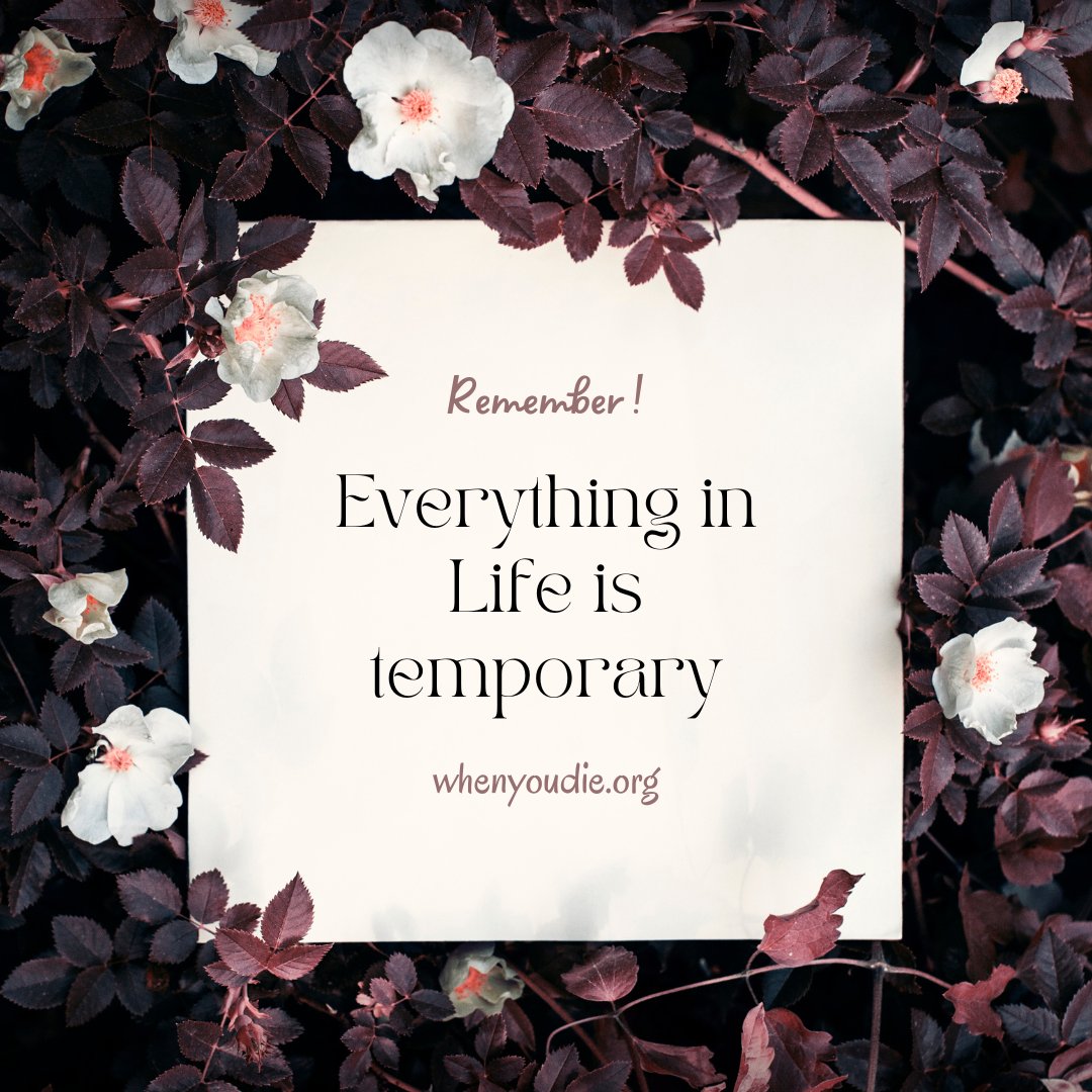 When You Die tweet media