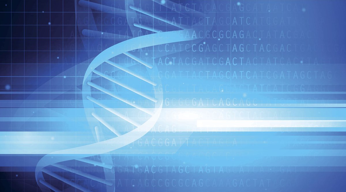 Tsinghua_Uni's tweet image. Researchers used DNA polymerase Bsu DNAP and nicking endonuclease Nt. AlwI to create 2 reaction loops, controlling the structural association and dissociation of nucleic acid structures. It aids in #nanostructure assembly.

#InnovativeTsinghua

More: go.nature.com/3Ke78oR