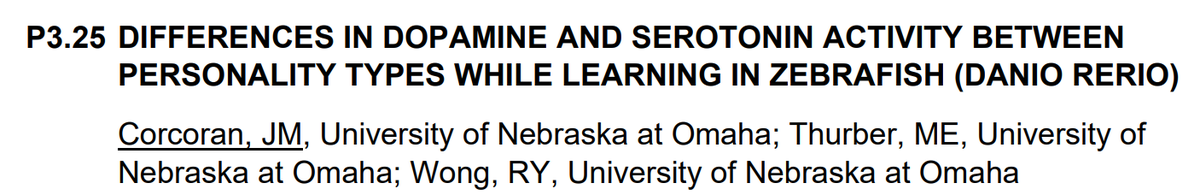Wong Lab (@drwonglab) on Twitter photo Finishing strong at #SBN2024 is <a href="/UNOmaha/">University of Nebraska at Omaha</a>'s <a href="/Jamie_Corc/">Jamie Corcoran</a>. Come see poster today! #NSFfunded #AnimalCognition Finishing strong at #SBN2024 is <a href="/UNOmaha/">University of Nebraska at Omaha</a>'s <a href="/Jamie_Corc/">Jamie Corcoran</a>. Come see poster today! #NSFfunded #AnimalCognition