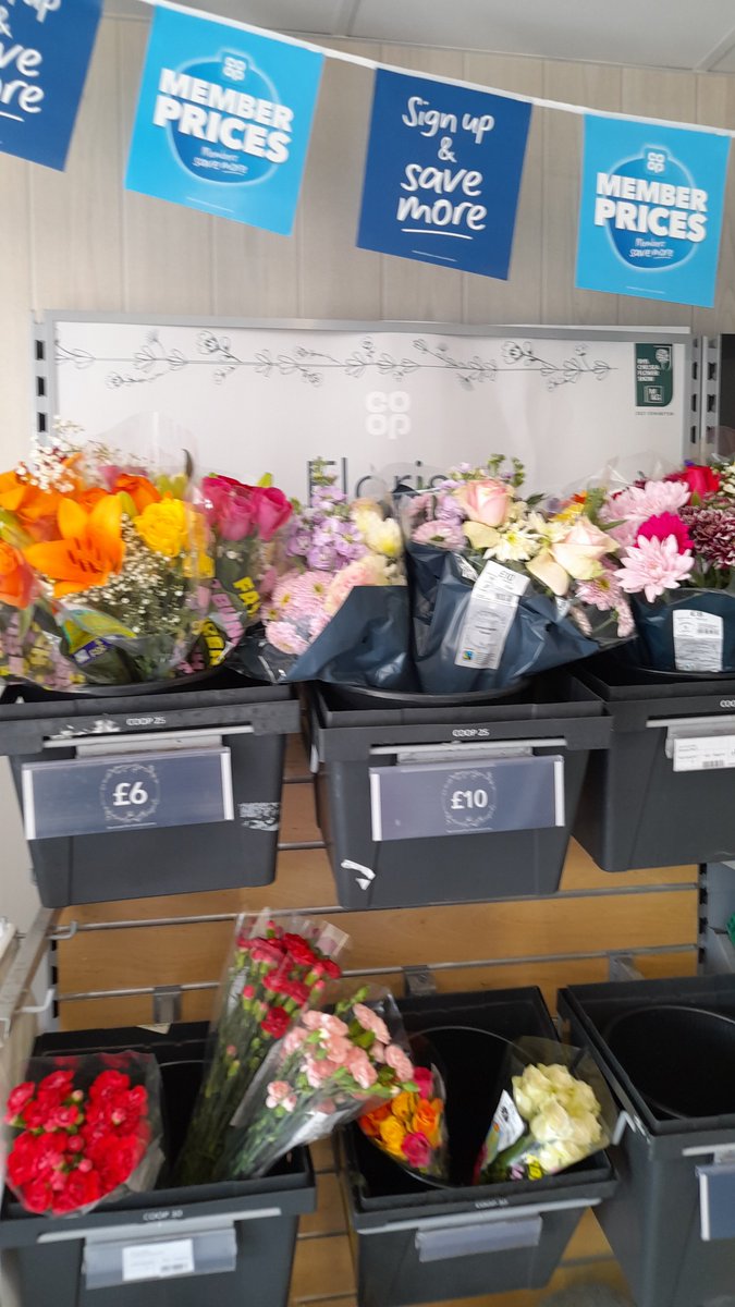 I accidentally poured water on a couple of our seeded sustainability leaflets,  look what happened.  They're better than I thought........