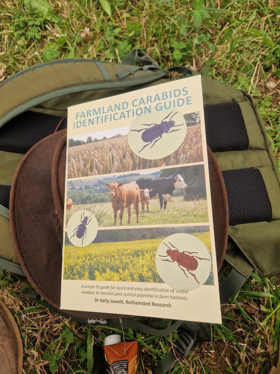 Mark Edwards🇺🇦🇪🇺🇬🇧 tweet media