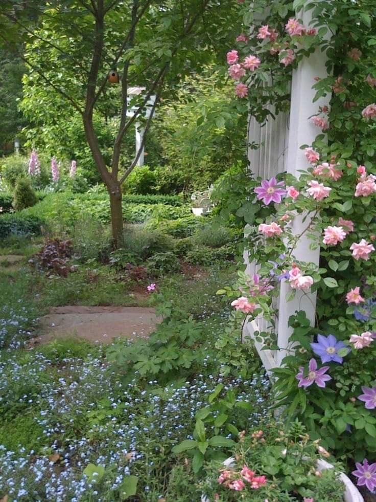 Daily cottagecore moodboard 🍃🍄‍🟫🫐