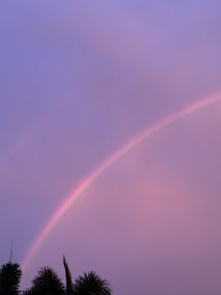 saulzml's tweet photo. 🌈 https://t.co/xCQoB4Ierr